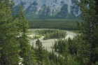 Bow River - Banff N.P.