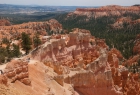 Bryce Canyon N.P.  - Blick in den Canyon