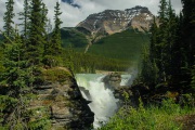 Athabasca-Falls