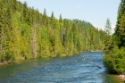 Wells Gray P.P. - Clearwater River